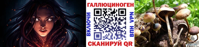 это Telegram  Сертолово  Галлюциногенные грибы Psilocybe 